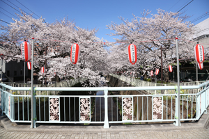 高井戸橋から
