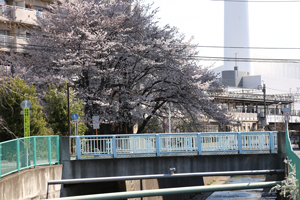 やなぎ橋
