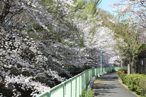 井の頭線検車区裏