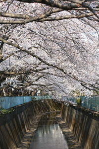 宮下橋から