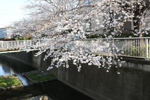 神田橋で