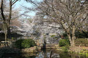 井の頭公園内