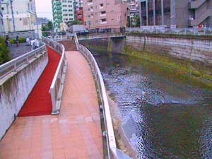 高田馬場親水歩道